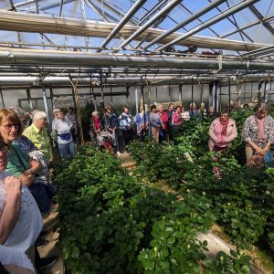 Rückblick: Lehrfahrt zum Schnittrosenzüchter Weniger nach Eberdingen