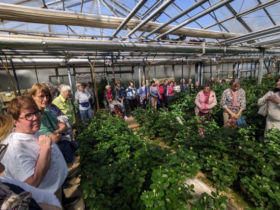 Rückblick: Lehrfahrt zum Schnittrosenzüchter Weniger nach Eberdingen