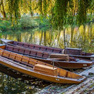 Jahresausflug nach Vahingen/Enz am Dienstag, 03.06.2025