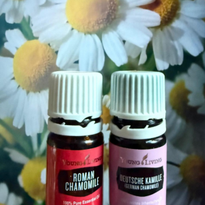 Herzliche Einladung zum Vortrag: Wie kann ich ätherische Öle in meinem Alltag einsetzen? Ein Abend rund um ätherische Öle mit Sabine Kohler und Elli Steinberger am 27.01.2026 um 19.00 Uhr im Bürgerhaus