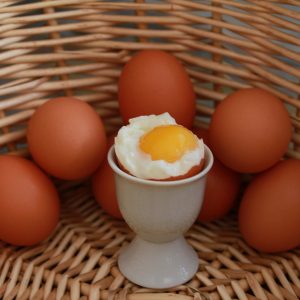 Herzliche Einladung zum Vortrag „Wissenschaft und Halbwissen“ mit Claudia Conzelmann, am Dienstag, 10. März 2026 um 19.30 Uhr im Bürgerhaus