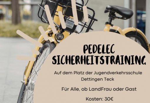 Sicher unterwegs mit dem Pedelec